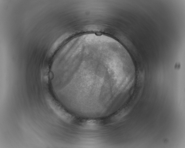 X0000113140064200910021449