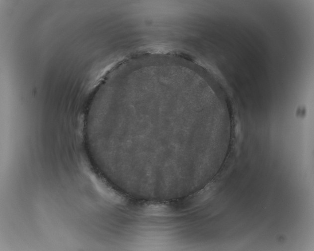 X0000113140066200910021449