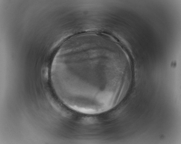 X0000113140067200910021449