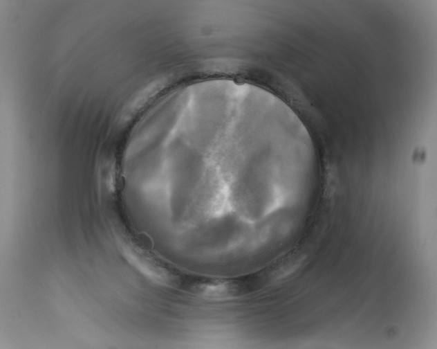X0000113140068200910021449