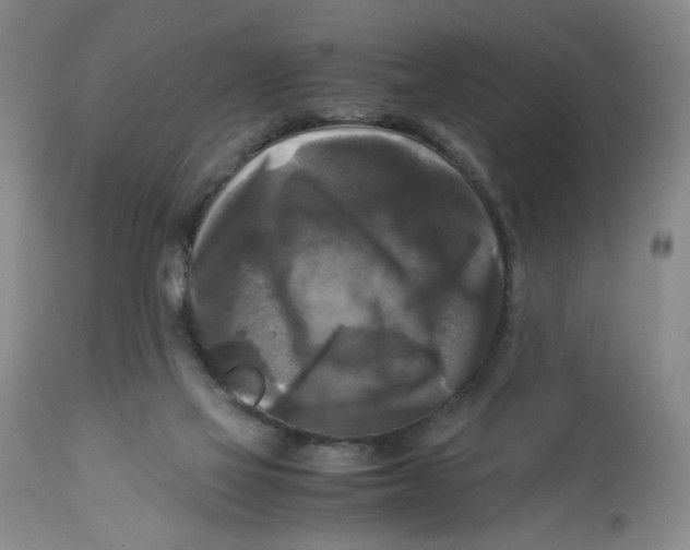 X0000113140069200910021449