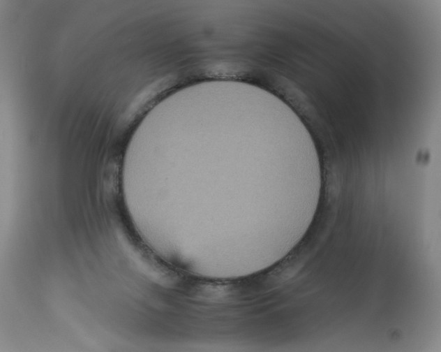 X0000113140071200910021449
