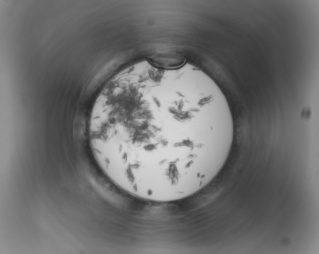 X0000113140072200910021449