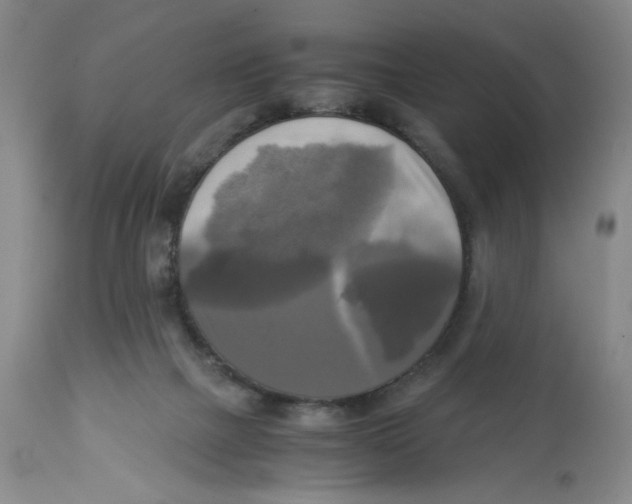X0000113140073200910021449