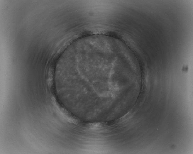 X0000113140074200910021449