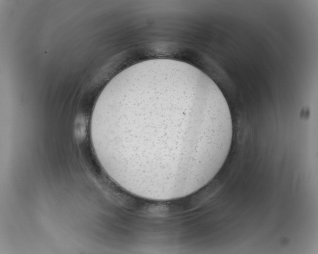 X0000113140075200910021449