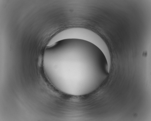 X0000113140076200910021449