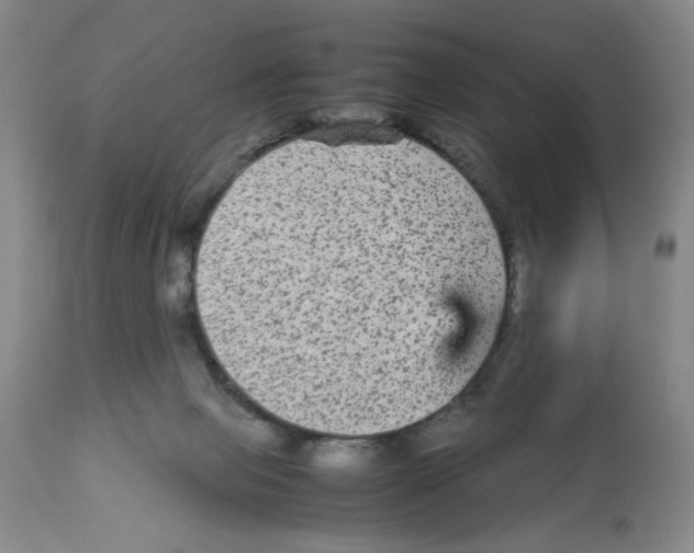 X0000113140077200910021449