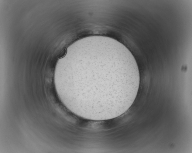 X0000113140078200910021449