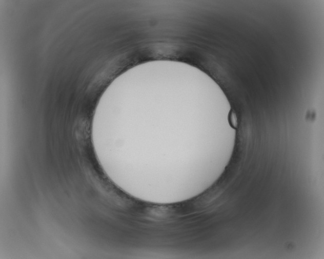X0000113140079200910021449