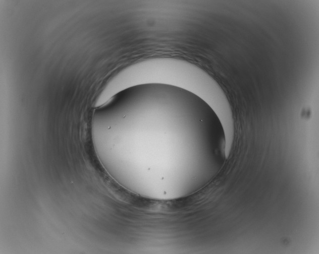 X0000113140080200910021449