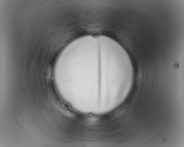 X0000113140081200910021449