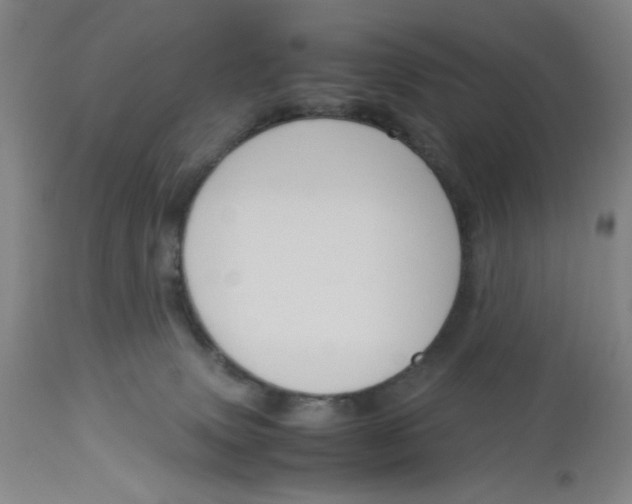 X0000113140083200910021449