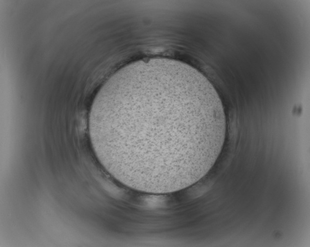X0000113140085200910021449