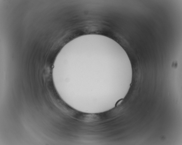 X0000113140087200910021449
