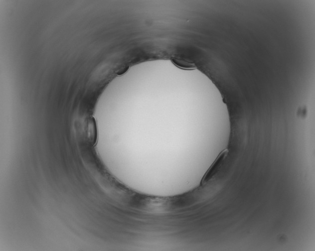 X0000113140088200910021449