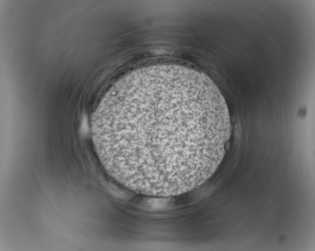 X0000113140089200910021449