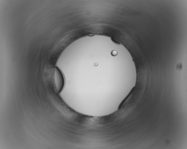 X0000113140092200910021449