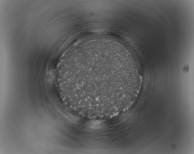 X0000113140093200910021449