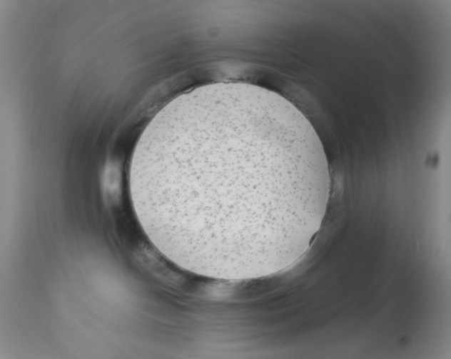 X0000113140094200910021449