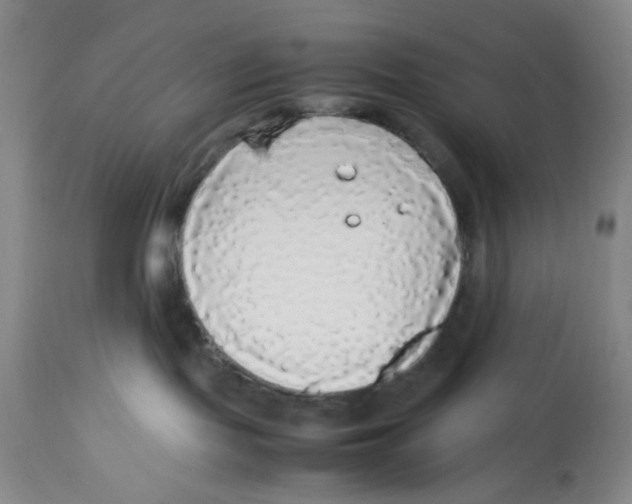 X0000113140095200910021449