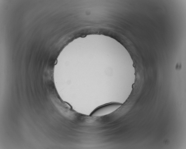 X0000113140096200910021449
