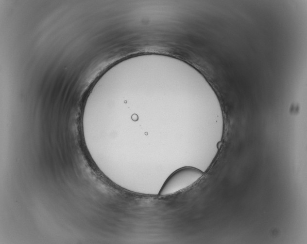 X0000113140098200910021449