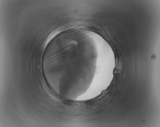 X0000113140099200910021449