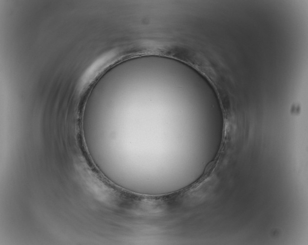 X0000113140101200910021449