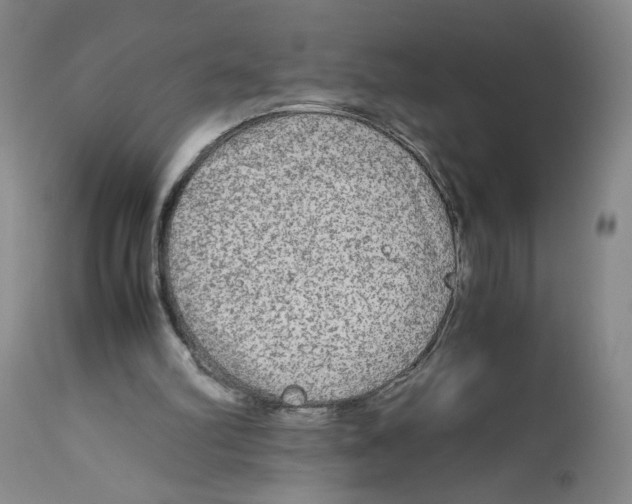 X0000113140102200910021449