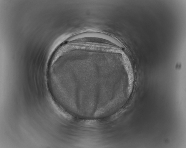 X0000113140104200910021449