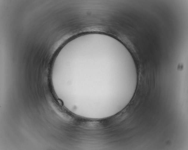 X0000113140108200910021448