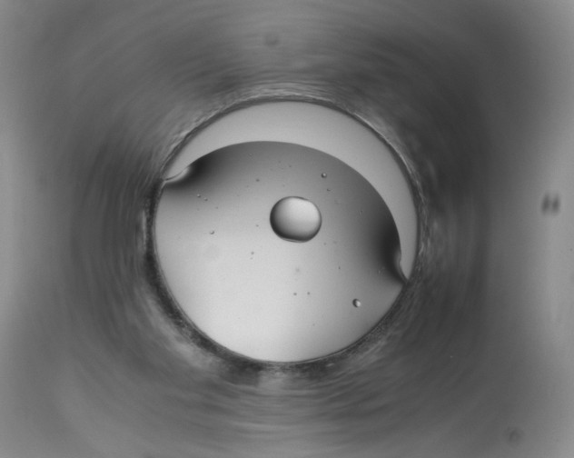 X0000113140109200910021448
