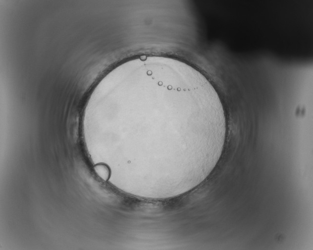X0000113140110200910021448