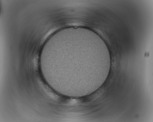 X0000113140111200910021448