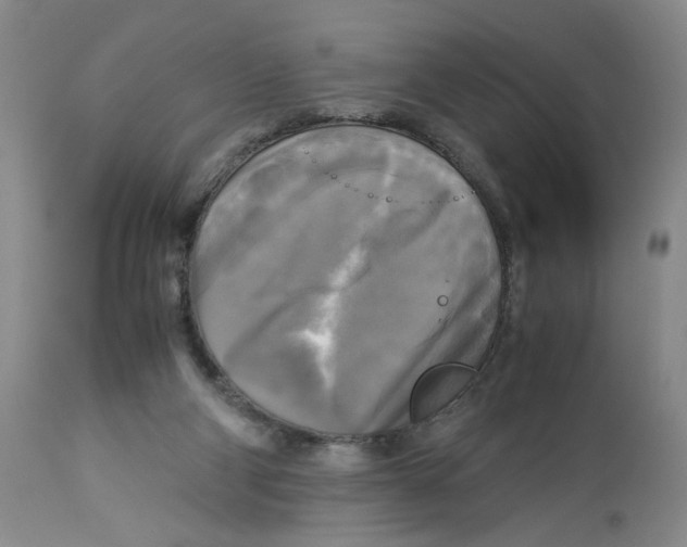 X0000113140114200910021448