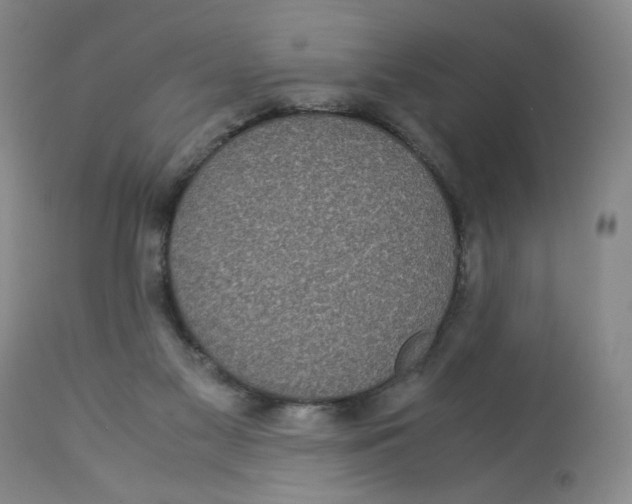 X0000113140117200910021448