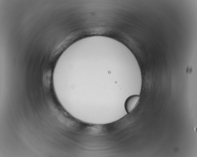 X0000113140118200910021448