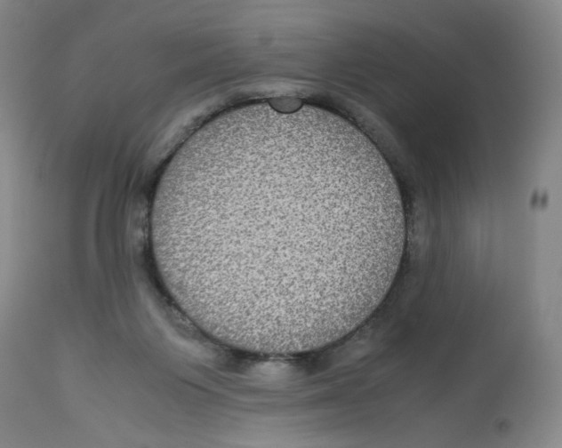 X0000113140119200910021448