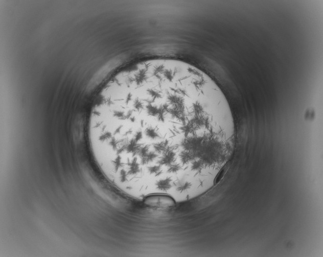 X0000113140120200910021448