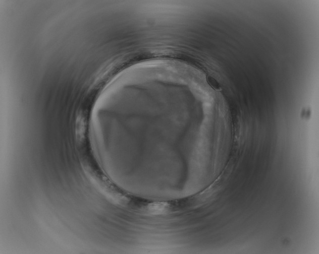 X0000113140124200910021448