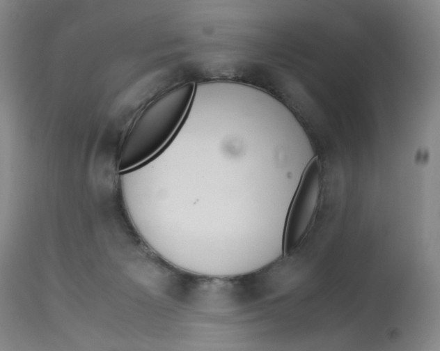 X0000113140125200910021448