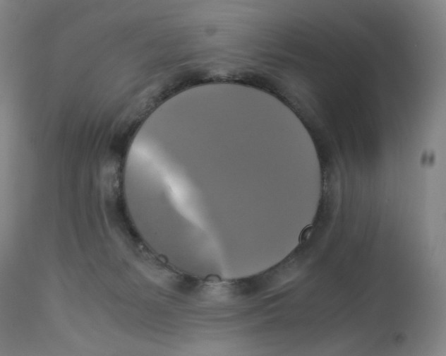 X0000113140127200910021448