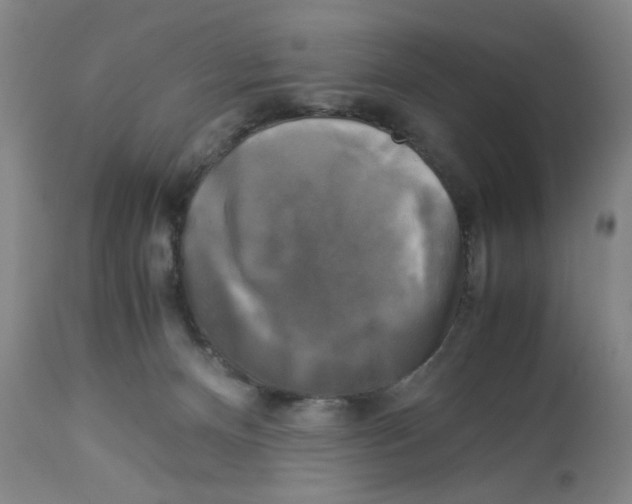X0000113140128200910021448