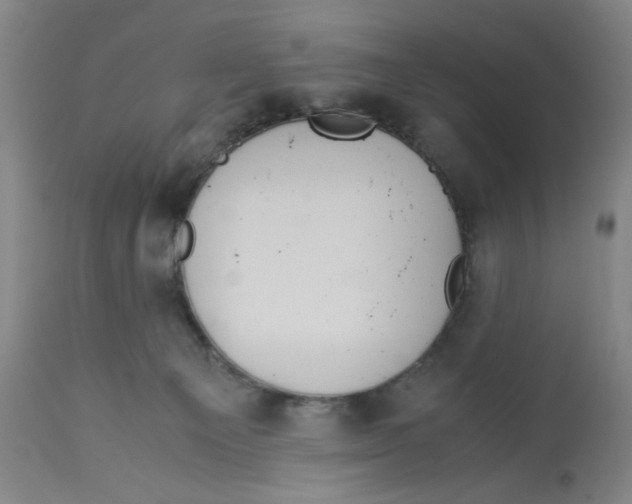 X0000113140129200910021448