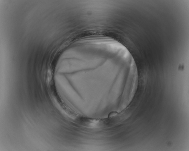 X0000113140130200910021448