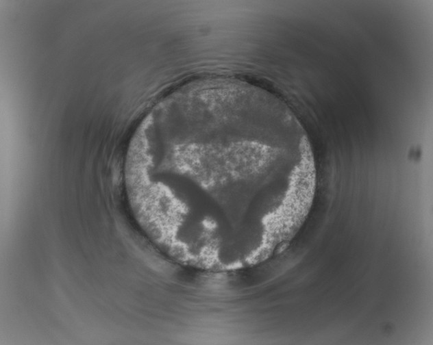 X0000113140131200910021448