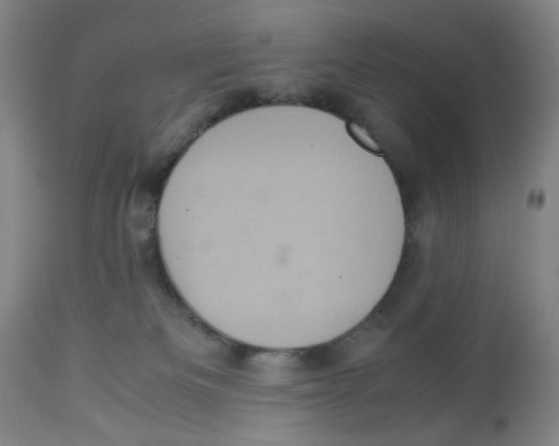 X0000113140133200910021448