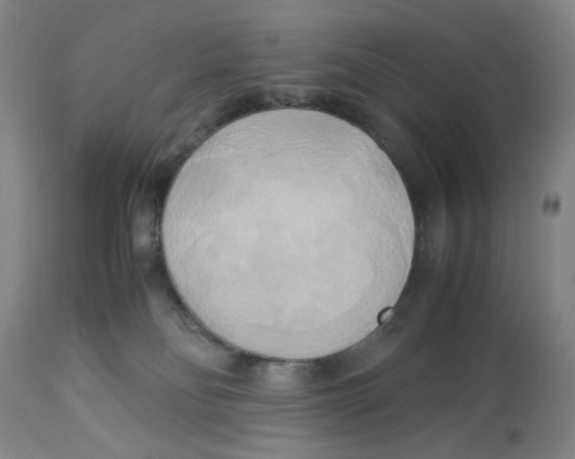 X0000113140134200910021448
