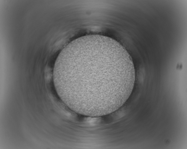 X0000113140135200910021448
